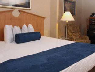 One-Bedroom Suite,1589285854:JPEG
