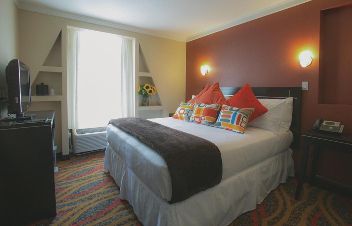 Standard King Room