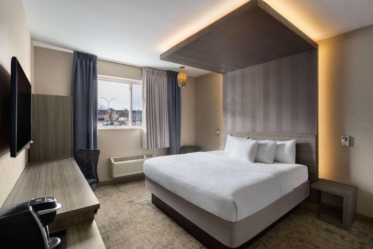 Executive King Room Non-Smoking