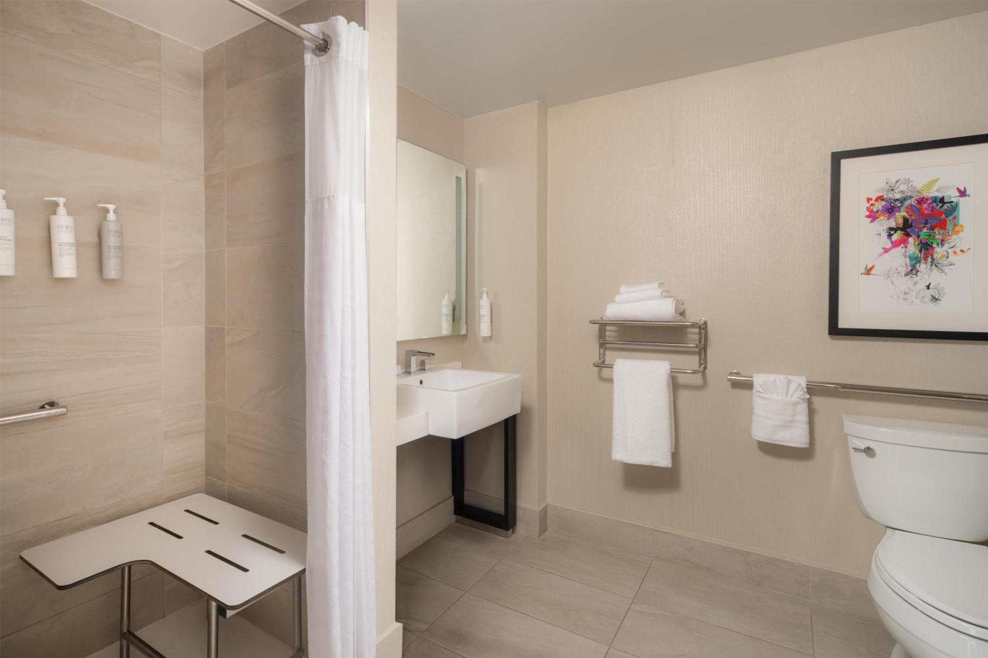 1 King City View Room Mobility Access with 3X3 Shower