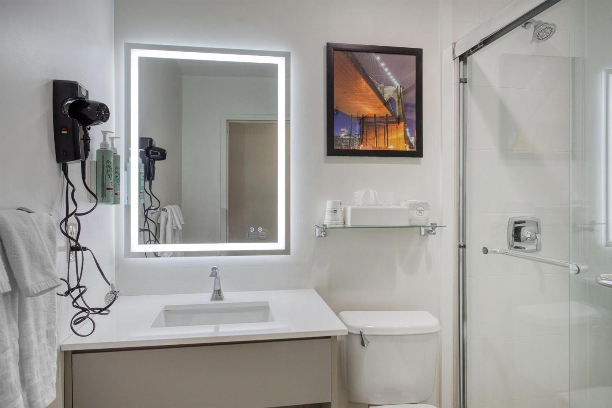 Double Room Two Double Beds Roll Shower Disability Access