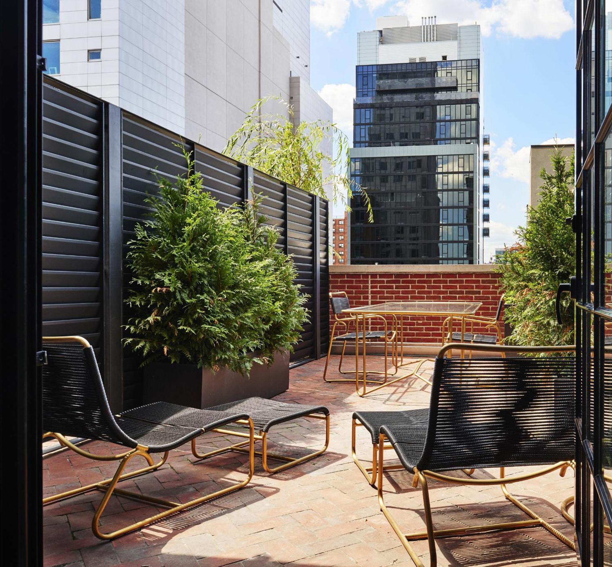 Queen Studio Terrace