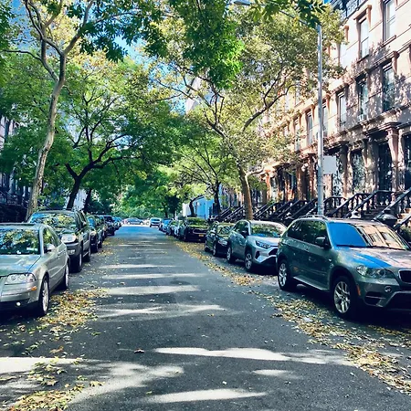 Harlem Grand-2