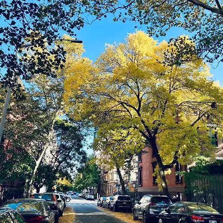Harlem Grand-3