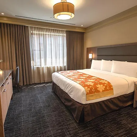 Opera House Hotel-3