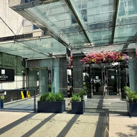 Hotel Hayden New York-3
